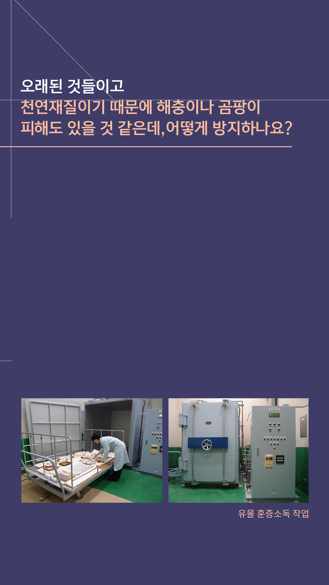 오래된 것들이고 천연재질이기때문에 해충이나 곰팡이 피해도 있을 것 같은데, 어떻게 방지 하나요? - 유물 훈증소독 작업 이미지