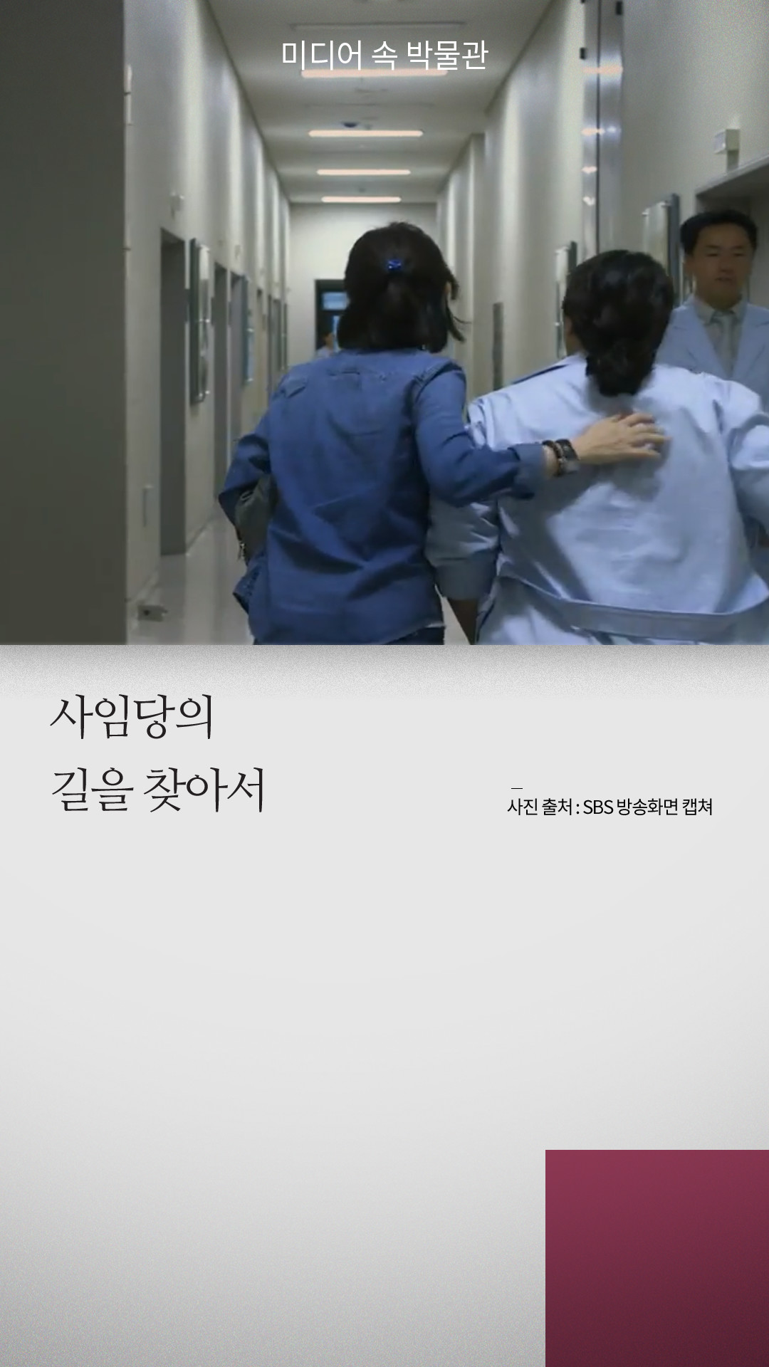 미디어 속 박물관, 사임당의 길을 찾아서