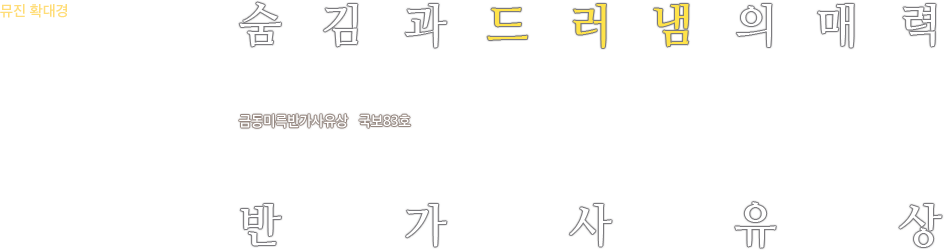 뮤진 확대경-숨김과드러냄의매력 반가사유상-금동미륵반가사유상/국보83호