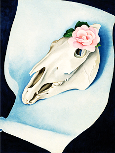 ȫ ̰ ִ  ΰ Horses Skull with Pink Rose